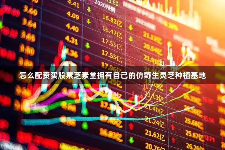 怎么配资买股票芝素堂拥有自己的仿野生灵芝种植基地