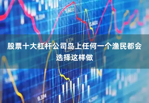 股票十大杠杆公司岛上任何一个渔民都会选择这样做
