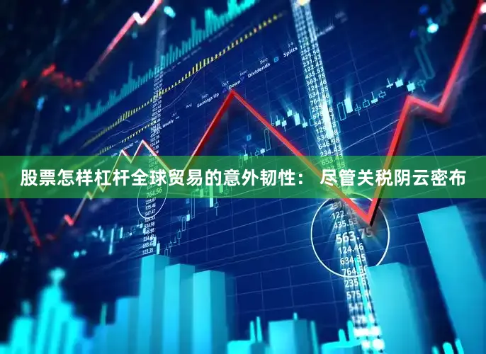 股票怎样杠杆全球贸易的意外韧性： 尽管关税阴云密布