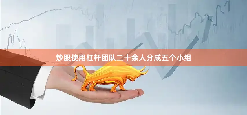 炒股使用杠杆团队二十余人分成五个小组