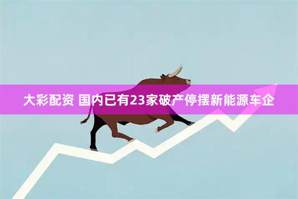 大彩配资 国内已有23家破产停摆新能源车企