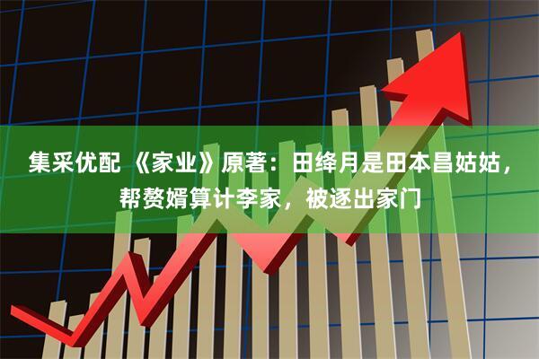集采优配 《家业》原著：田绛月是田本昌姑姑，帮赘婿算计李家，被逐出家门